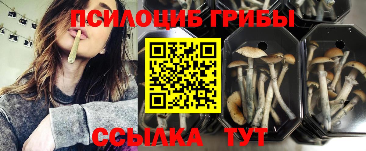 Псилоцибиновые грибы ЛСД Славянск-на-Кубани