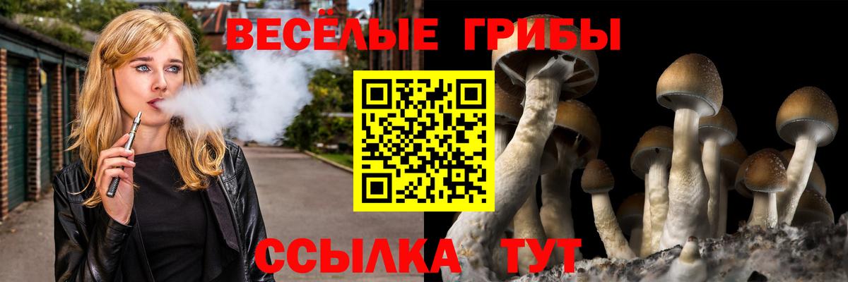 Славянск-на-Кубани  Псилоцибиновые грибы ЛСД  закладка  Вход с VPN  Псилоцибиновые грибы мухоморы 
